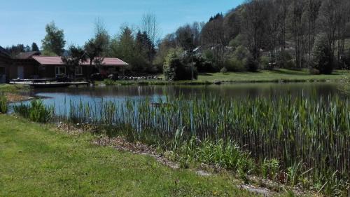 Fresse House | GITE LES ECUREUILS
