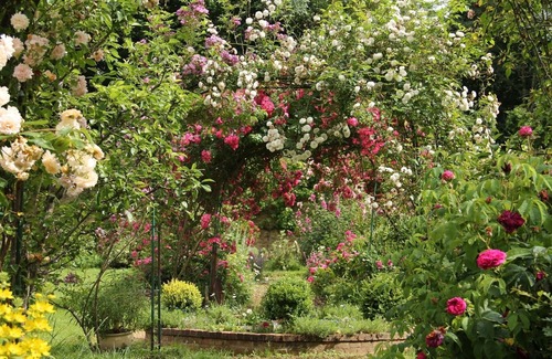 Le Pin House | Gite near Puy du Fou in the classified park of Roches Blanches