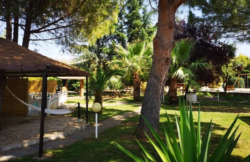 Maraussan House | Gîte T3 Le Cycas with heated swimming pool in wooded grounds