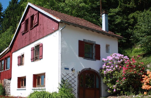 Rupt-sur-Moselle House | Gîte with panoramic view from the veranda