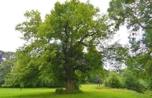 Haut-Bois House | Gite with swimming pool situated in wonderful castle grounds in Gesves