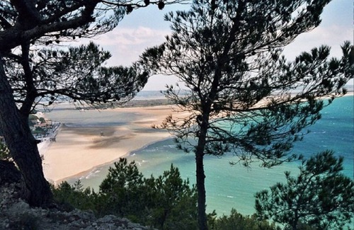 Roquefort-des-Corbieres House | Gitelacapelle 3/4 bedrooms swimming pool, 10mm from wild beaches, tropical setting ....