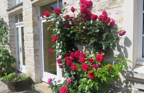 Recloses Cottage | Gites daffodils, very large capacity, near Fontainebleau