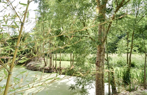 Soubise Cottage | Gites de St Hilaire - TILLEUL