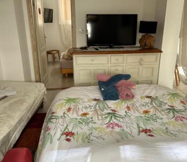 Selestat Apartment | Gites des capucins centre ville Sélestat