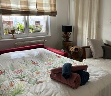 Selestat Apartment | Gites des capucins centre ville Sélestat