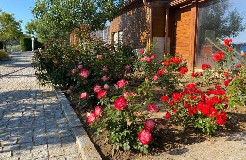 Chatillon-sur-Marne Apartment | Gites Des Sablons