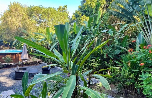 Cafeiere Cottage | Gites Les Vanilles lush tropical garden swimming pool 800m from the beach