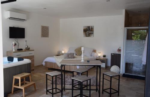 Saint-Vincent-de-Cosse House | Gites spa de charme L ETOILE SPA