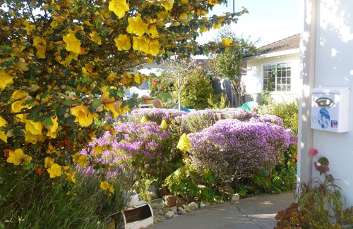 Marina House | Give.3 Minutes, State Beach. Economic Room, Bath. I LIVE ON PROPERTY. Namaste