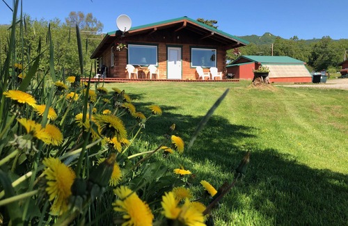 Kachemak Cabin | Glacier View Cabins - Private Studio Cabins