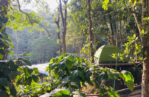 Muttil South Other | gladstone natural Camping