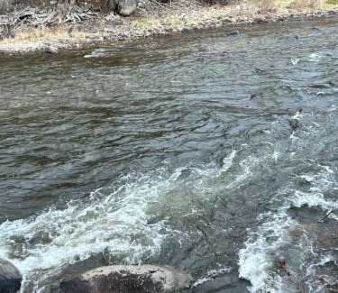 Buena Vista Other | Glamorous River Yurt -H- and Breakfast