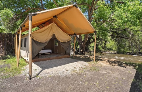 Poudre Park House | Glamp 16- Purple Coneflower