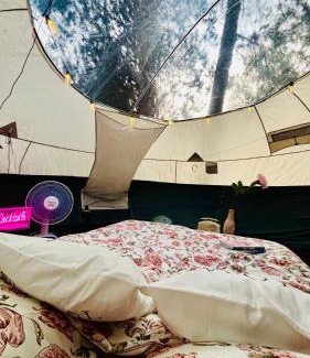 Belgrade Other | Glamp'in Pink AVALA