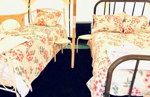 Buena Vista Other | Glamping Arkansas River Breakfast No Fees 6