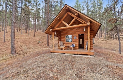 Corvallis Cabin | GLAMPING at it's best in 2025! Visit ournCabin at Montana Mountain Time Farms!
