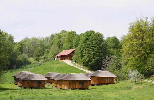 Majsperk House | Glamping Bionic healing village