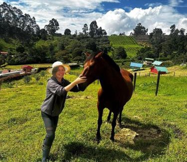 Granada Other | Glamping Bugambilia