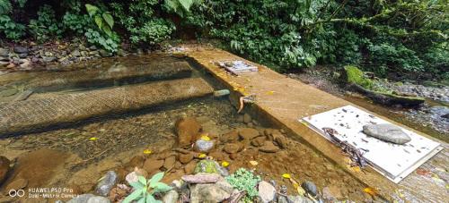 Concepcion Other | Glamping Butterflay Garden