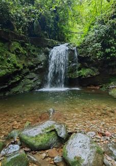 Concepcion Other | Glamping Butterflay Garden