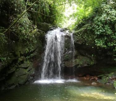 Concepcion Other | Glamping Butterflay Garden