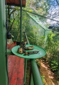 Concepcion Other | Glamping Butterflay Garden