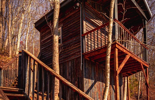 Lynx Cabin | Glamping Cabin | Huge Window | Tree House Feel