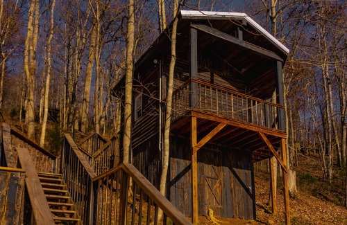 Lynx Cabin | Glamping Cabin | Huge Window | Tree House Feel
