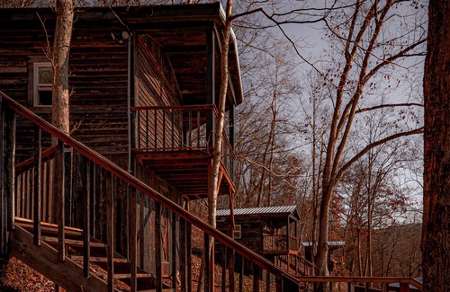 Lynx Cabin | Glamping Cabin | Huge Window | Cliff and Animal Views
