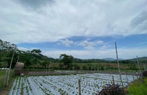 Pulot Other | Glamping, Camping, or Tent Stay at Humming Farm