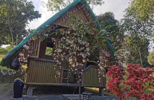 Pulot Other | Glamping, Camping, or Tent Stay at Humming Farm
