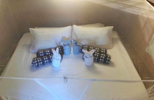 Pulot Other | Glamping, Camping, or Tent Stay at Humming Farm