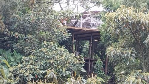 San Pedro Other | Glamping Casa Blanca