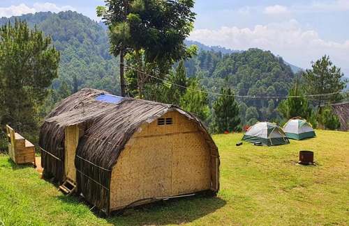 Pasirjambu Other | Glamping di Jungle, Ciwidey