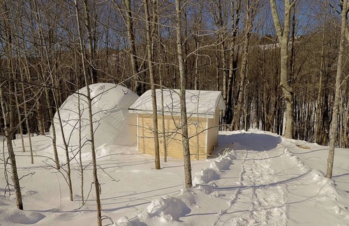 Mountain Base House | Glamping Dome #3 in Snowshoe WV