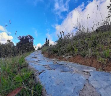 Bojaca Other | Glamping El Mirador de las estrellas