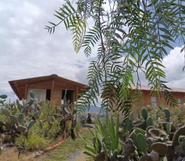 Villa de Leyva Other | Glamping Entre Nopales, Villa de Leyva