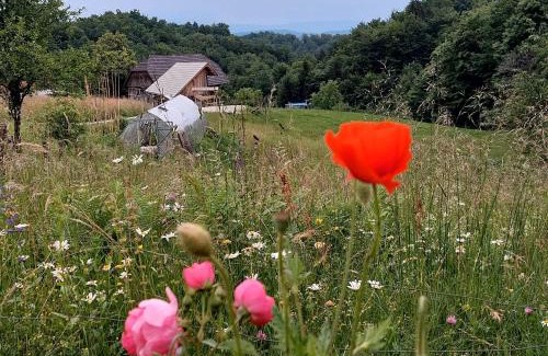 Trebnje House | Glamping - Hayrack Vesel