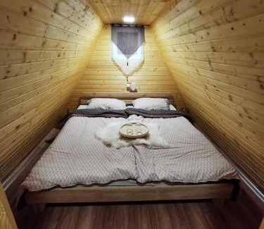 Lower Carniola Region Other | Glamping hišice Orlič