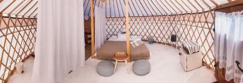 Vama Buzaului Other | Glamping Iurte Mongole Spiritul Zimbrului