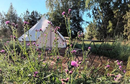 Laitila Other | Glamping Kotitila Kiveinen