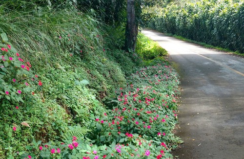 Renacimiento District RV Rental | Glamping on a coffee plantation on the Panama Costa Rica broder.