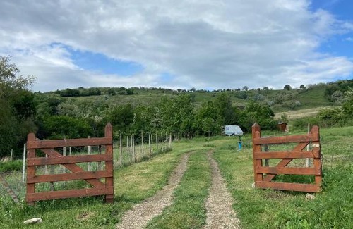 Izvoranu Other | Glamping Orange Valley