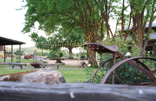 San Miguel Cabin | Glamping Paso Robles! Ultimate countryside farm stay!
