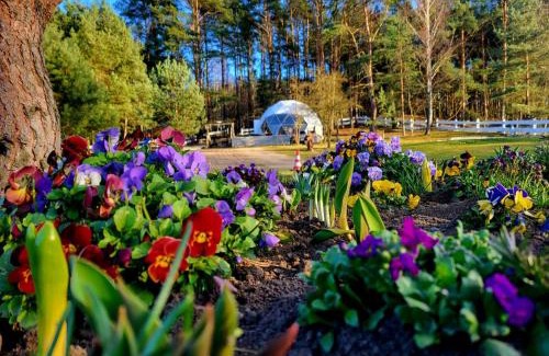 Cedynia Other | Glamping pod Orłem