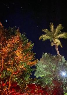 Ponte Nova Other | Glamping Pousada Lagoa Seca