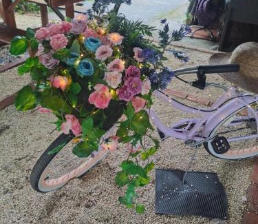 Katira Other | Glamping Rio Celeste Heliconia