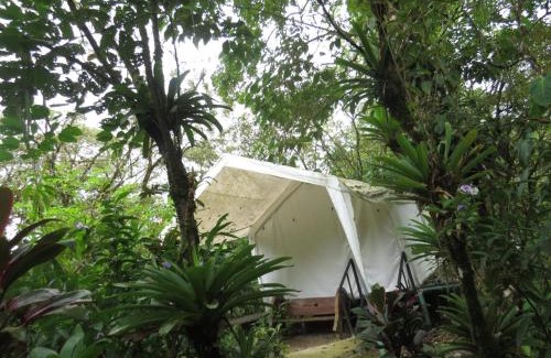 Katira Other | Glamping Rio Celeste Heliconia