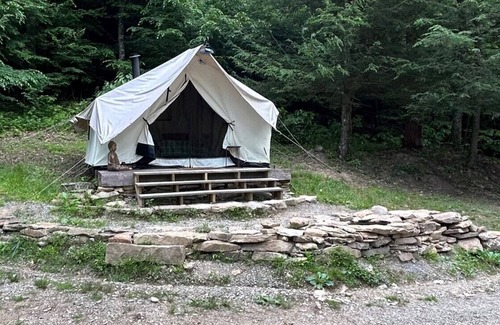 Northern Cabin | Glamping safari tent overlooking pond. Kid and pet friendly.
